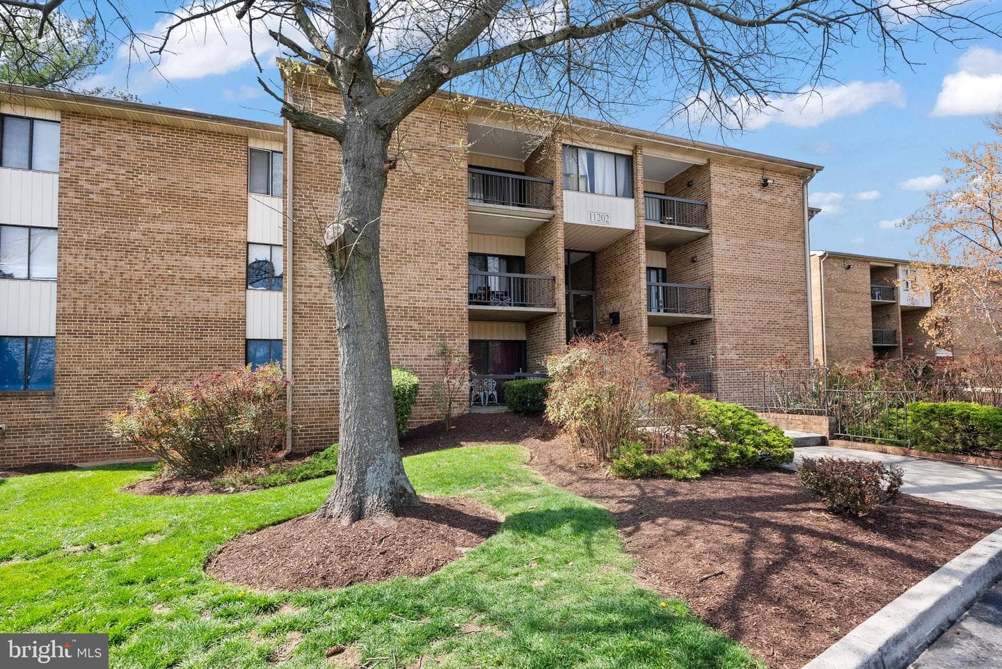 11202 Cherry Hill Road #t2 photo 4