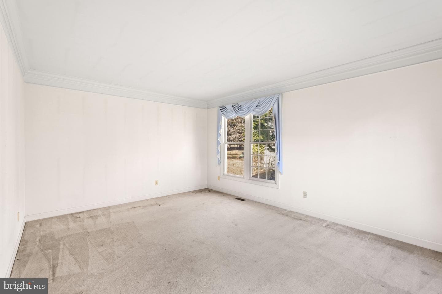 10508 Forestgate Place photo 22