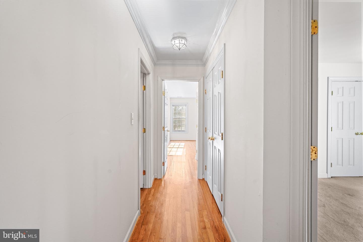10508 Forestgate Place photo 26