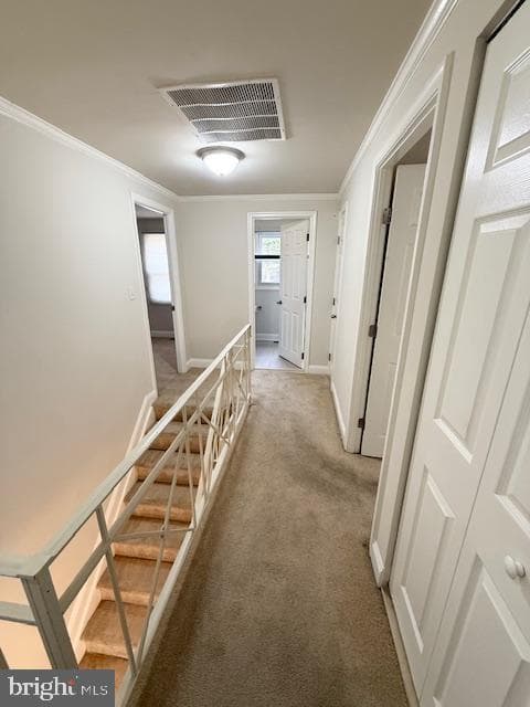 3103 Tinder Place photo 22