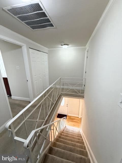 3103 Tinder Place photo 23