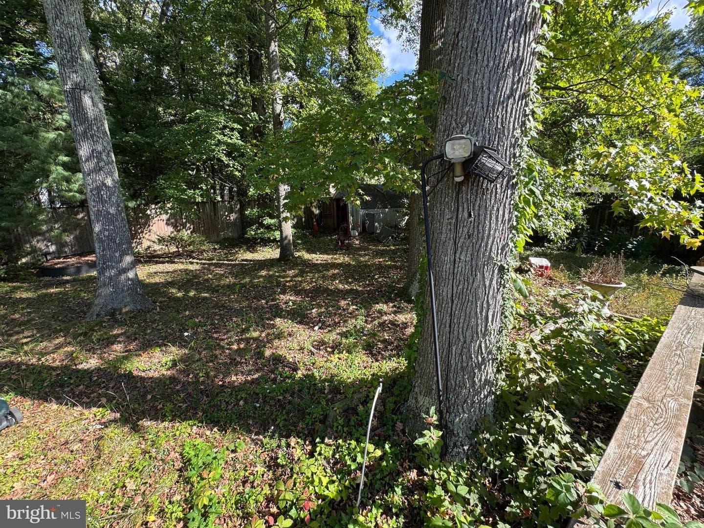 12402 Asbury Drive photo 21