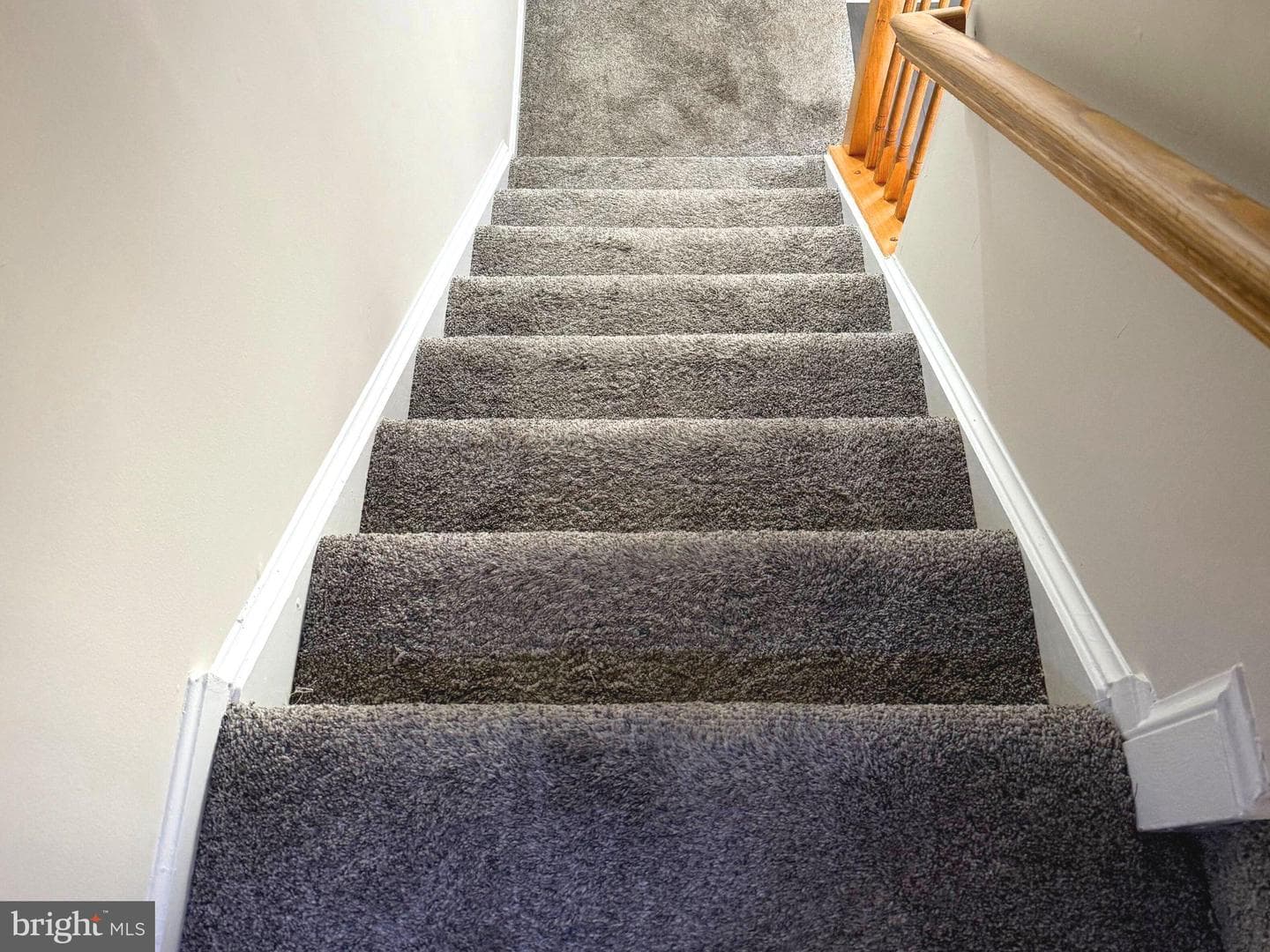 4317 Stockport Way photo 8