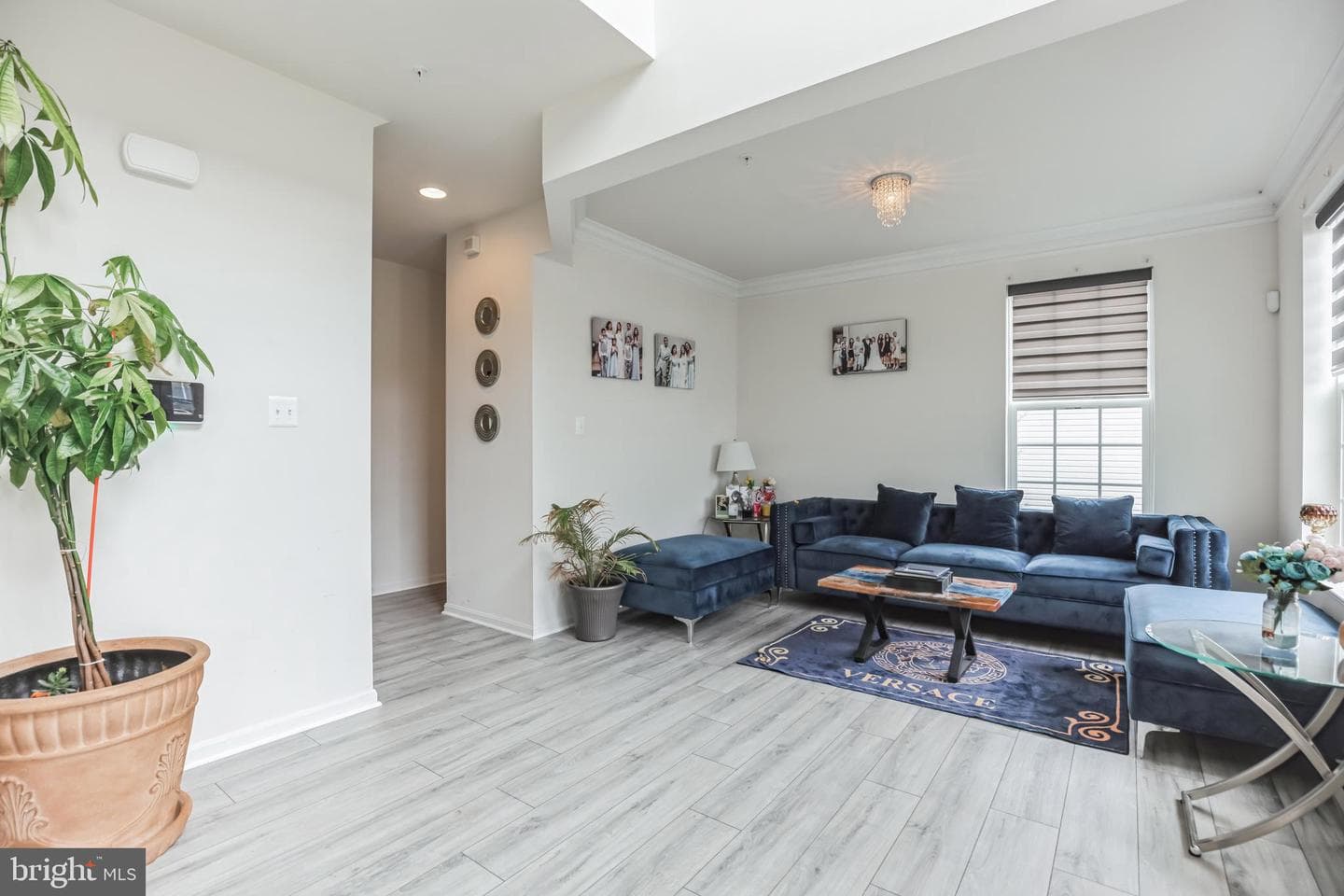 6 Pates Drive photo 4