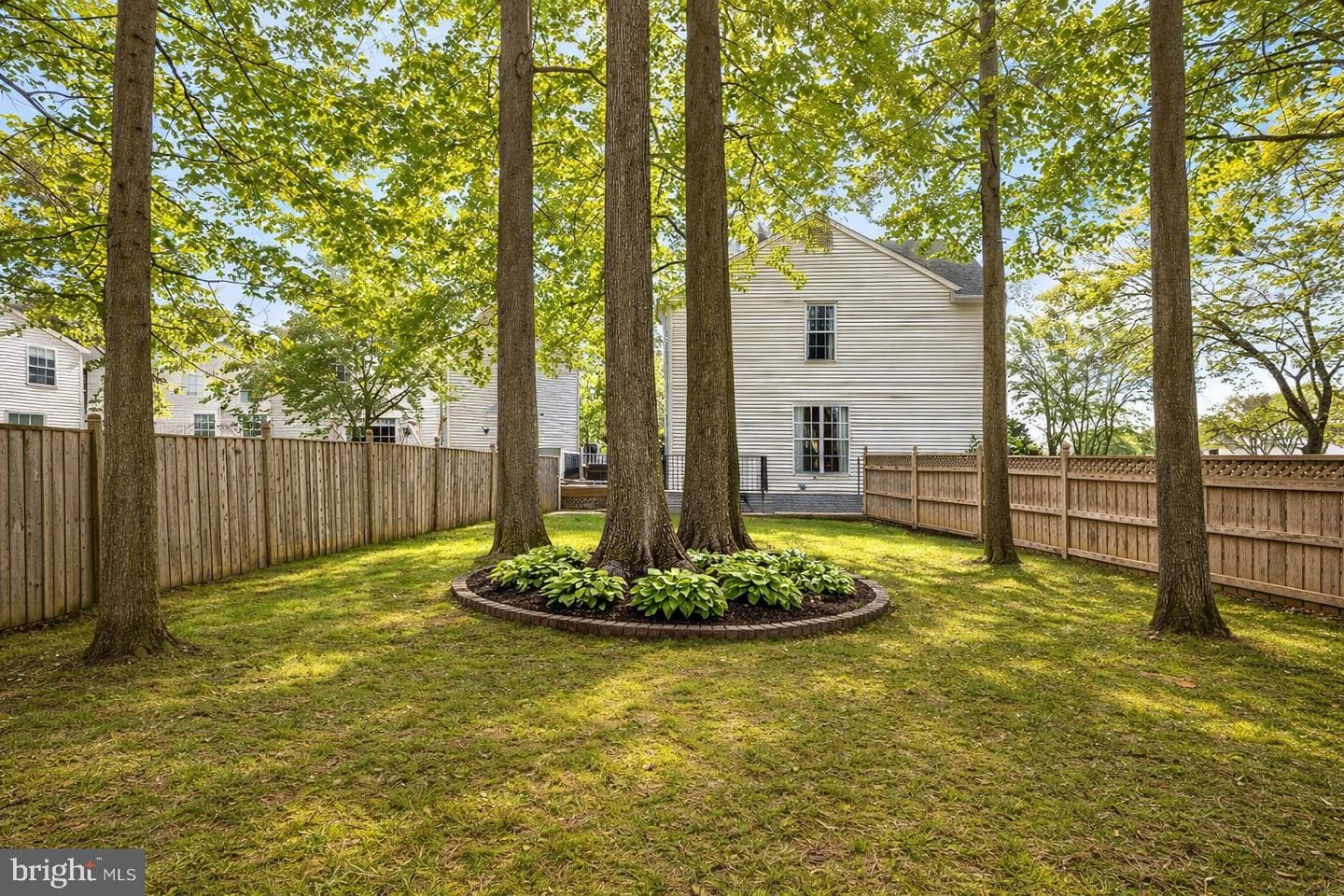 502 Maple Tree Way photo 49