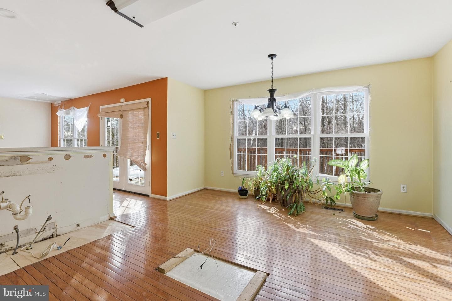 8105 Birdsong Drive photo 13