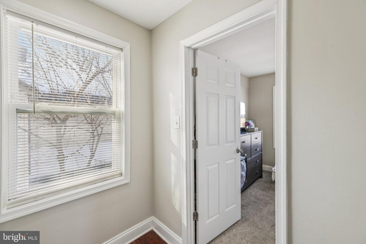 6003 Seat Pleasant Drive photo 25