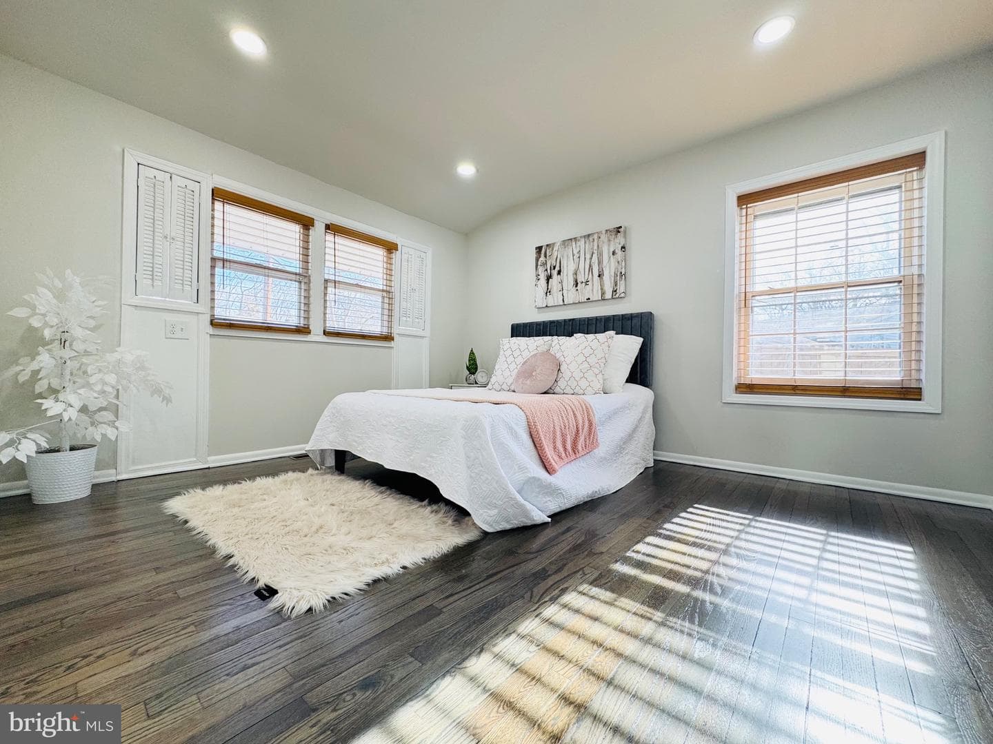 13205 Lenfant Drive photo 27