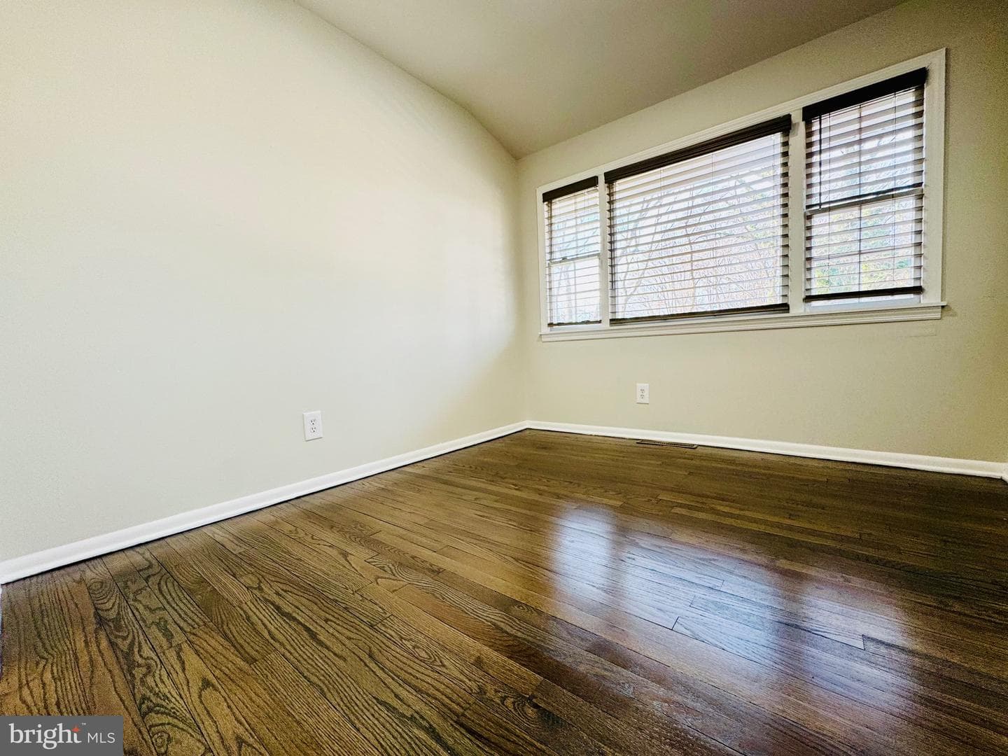 13205 Lenfant Drive photo 31