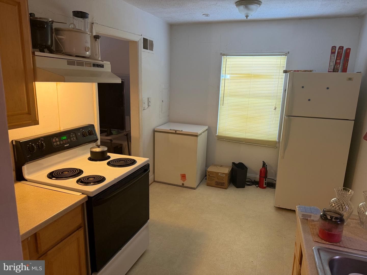 720 Cabin Branch Drive photo 5