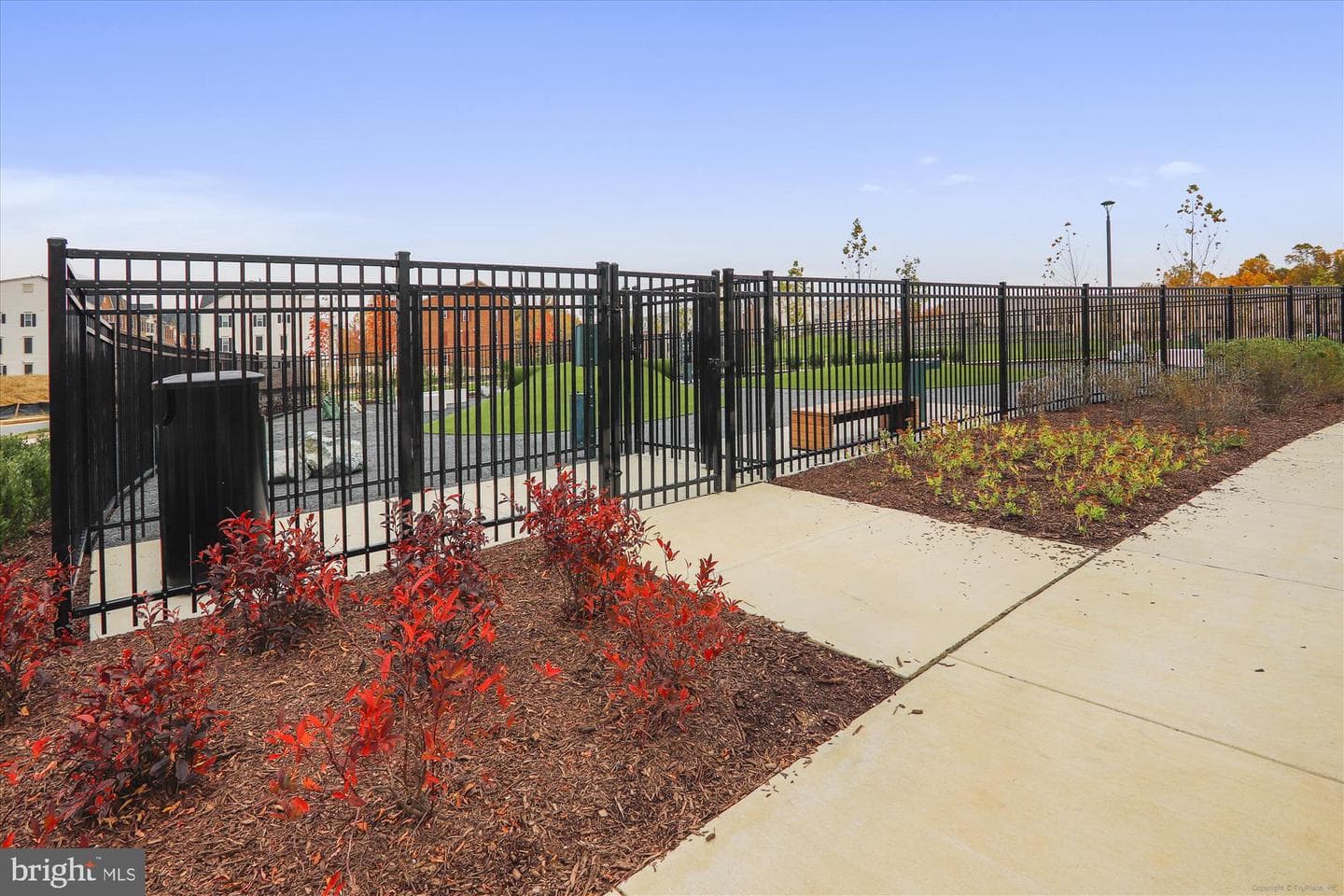3808 Gentle Breeze Drive photo 56