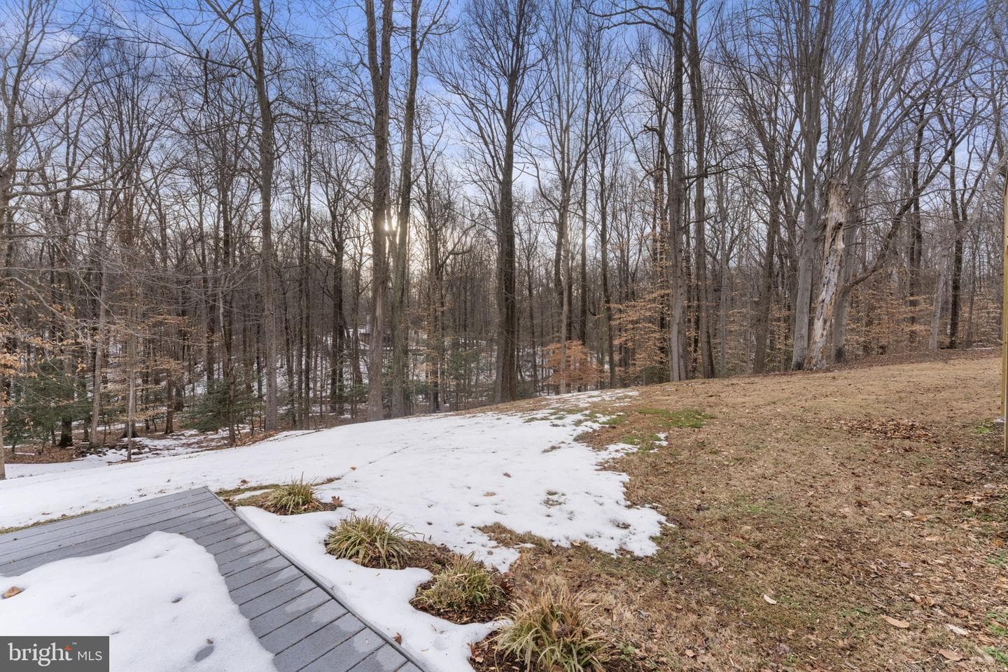 8901 Brookridge photo 116