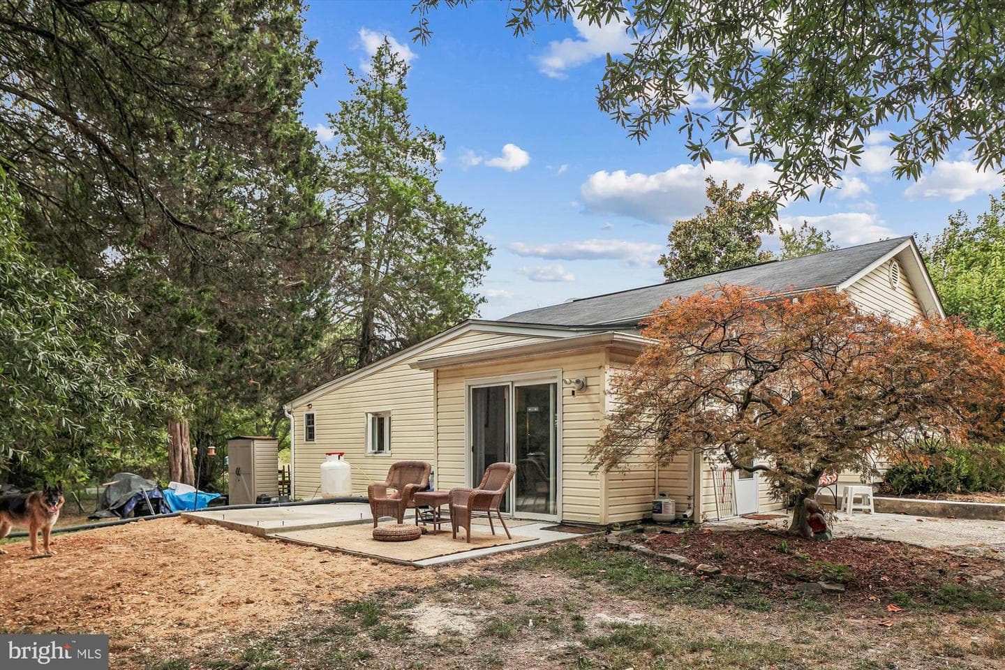8311 Cedarville Road photo 28