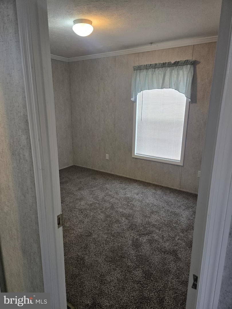 10505 Cedarville Drive photo 4