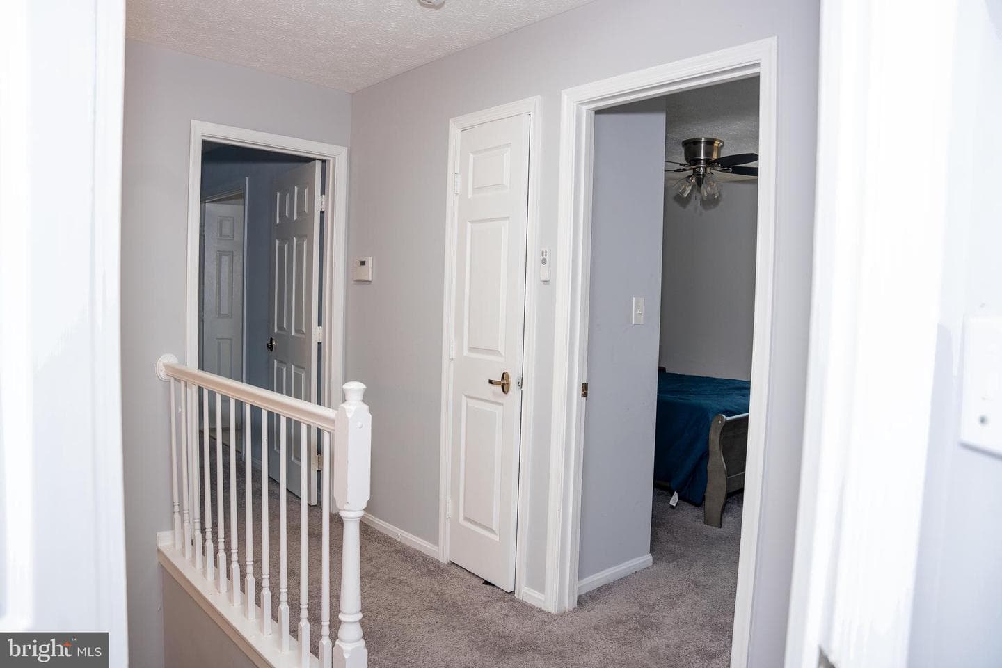 11002 Cranford Drive photo 35