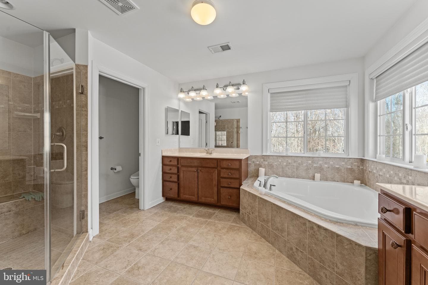321 Radiant Court photo 46
