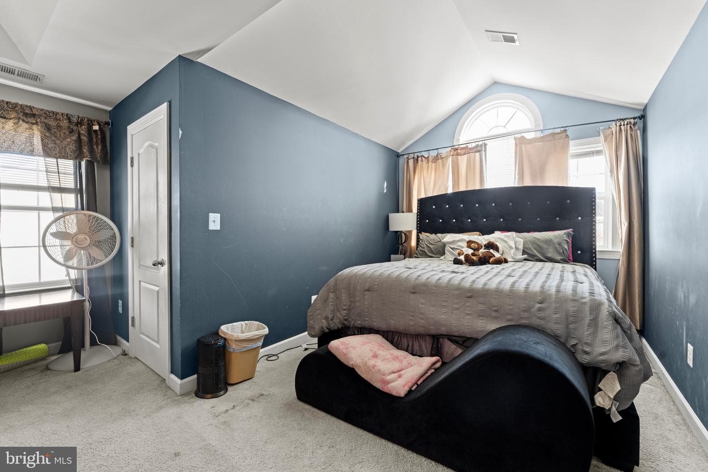 321 Radiant Court photo 50