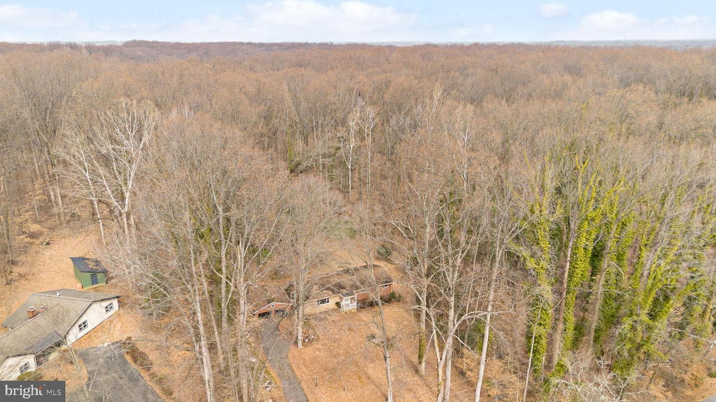 13008 Forest Drive photo 10