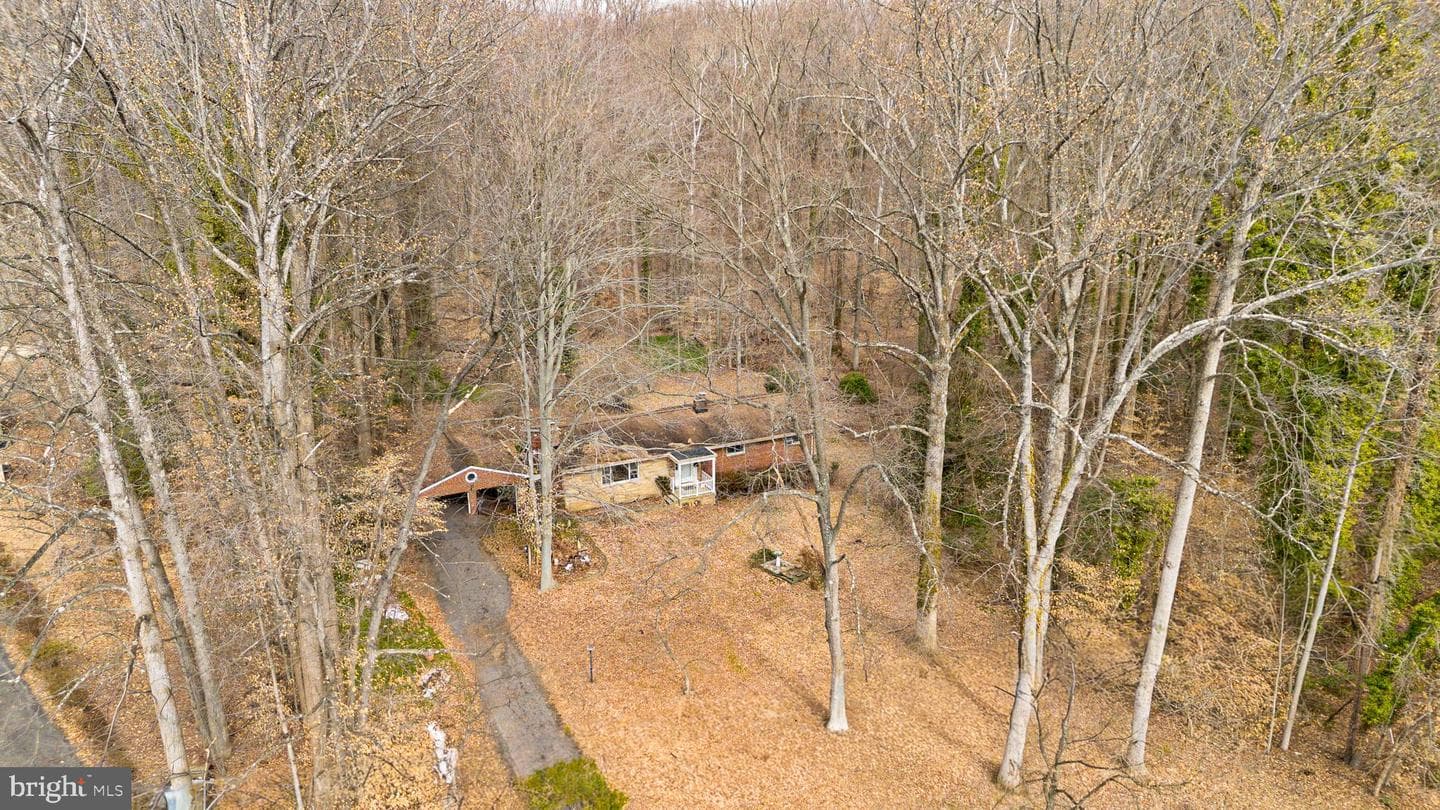 13008 Forest Drive photo 9
