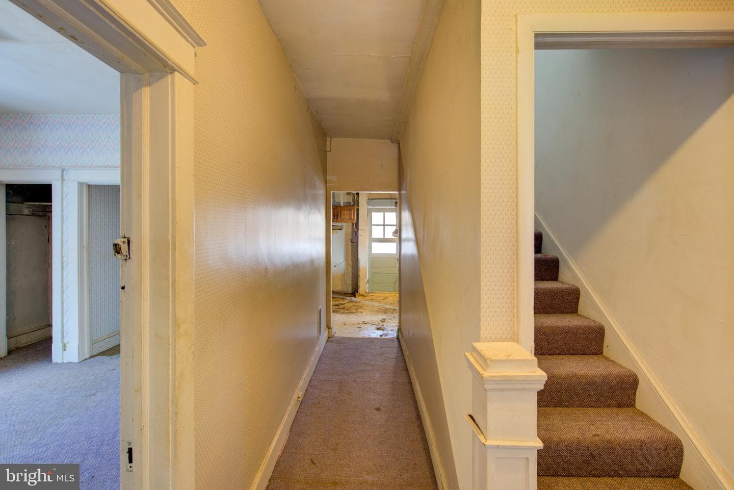 3922 Nicholson Street photo 3