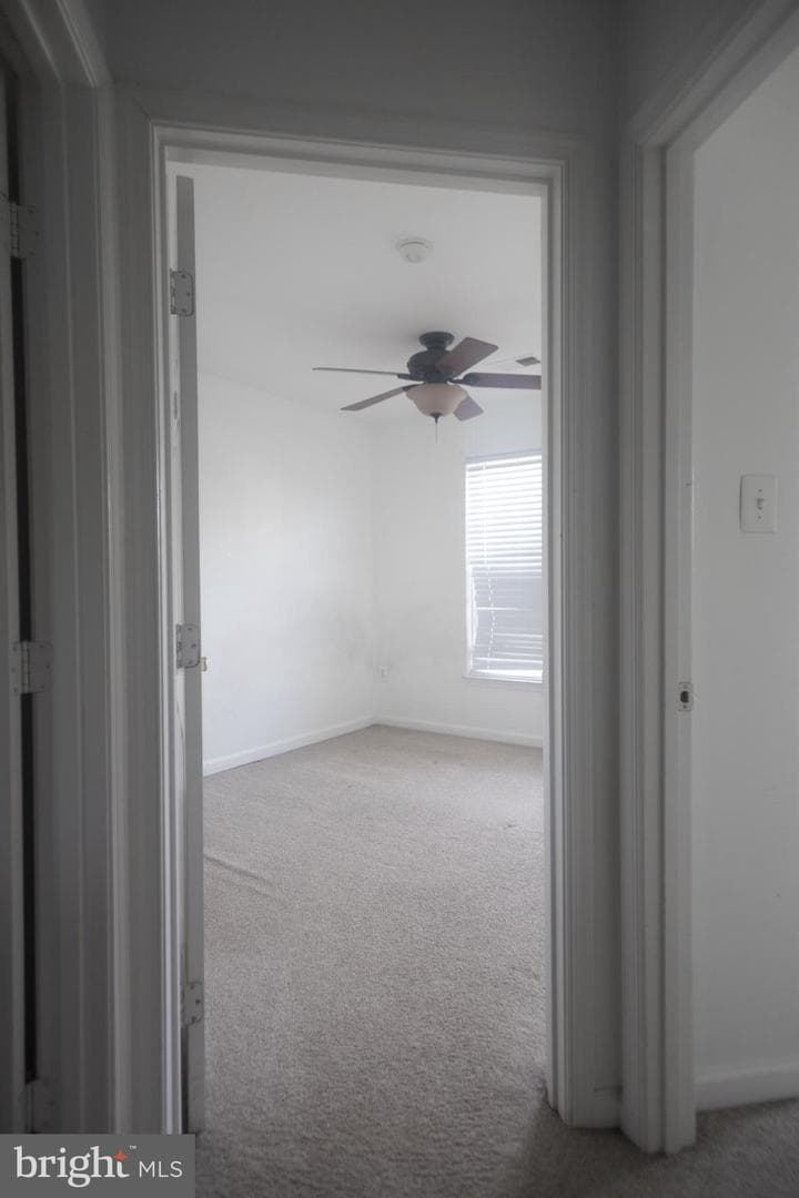 4404 Windflower Way photo 28