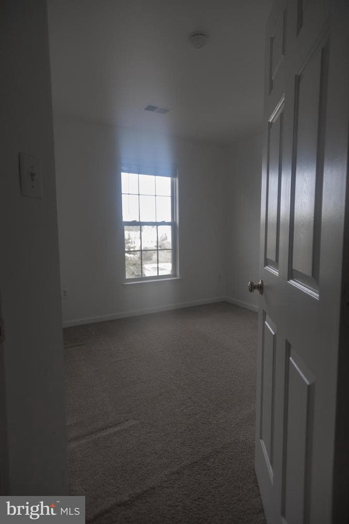 4404 Windflower Way photo 32