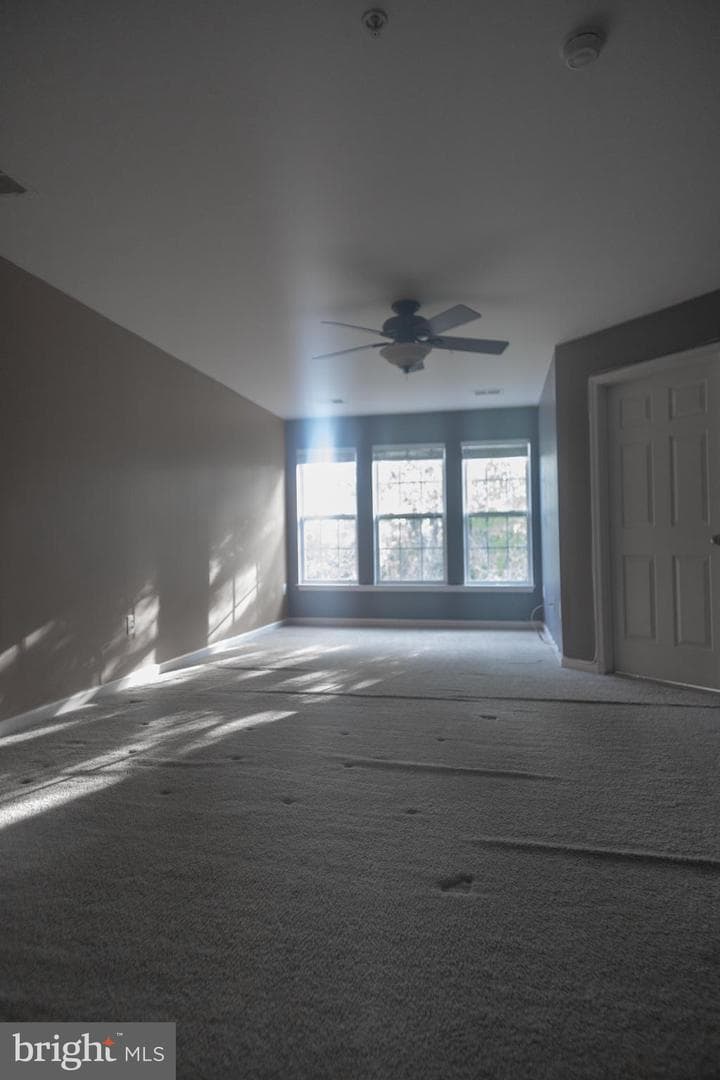 4404 Windflower Way photo 39