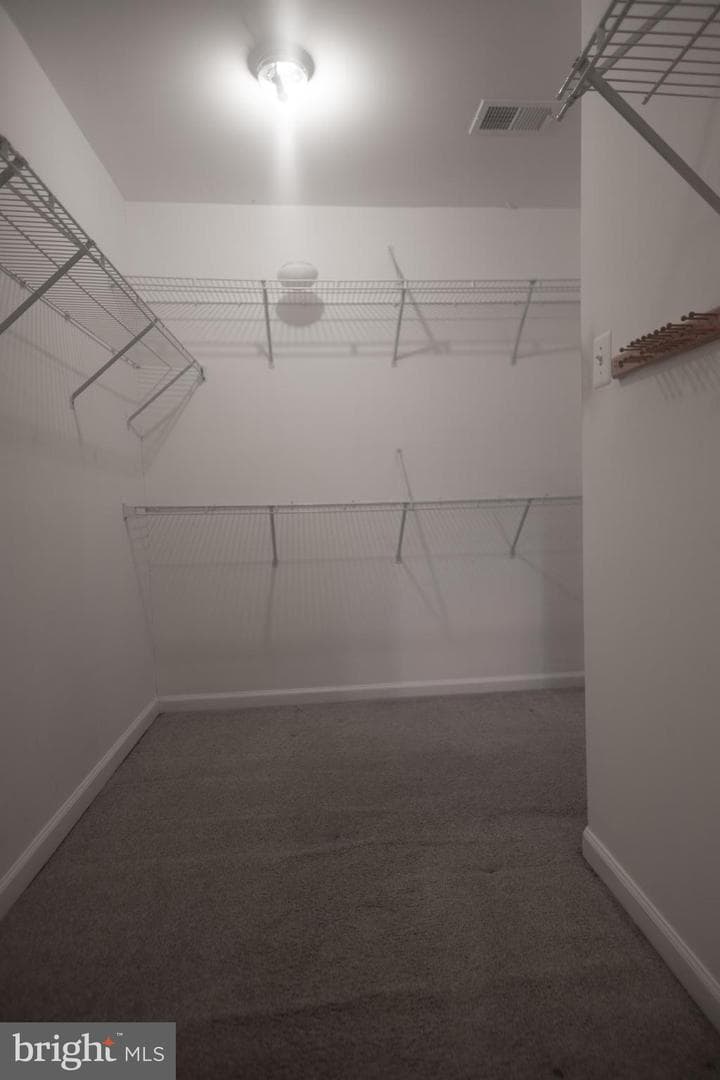 4404 Windflower Way photo 46