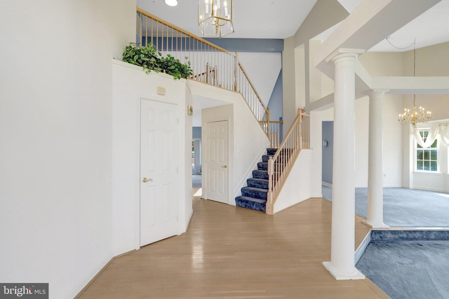 1407 Aragona Boulevard photo 5