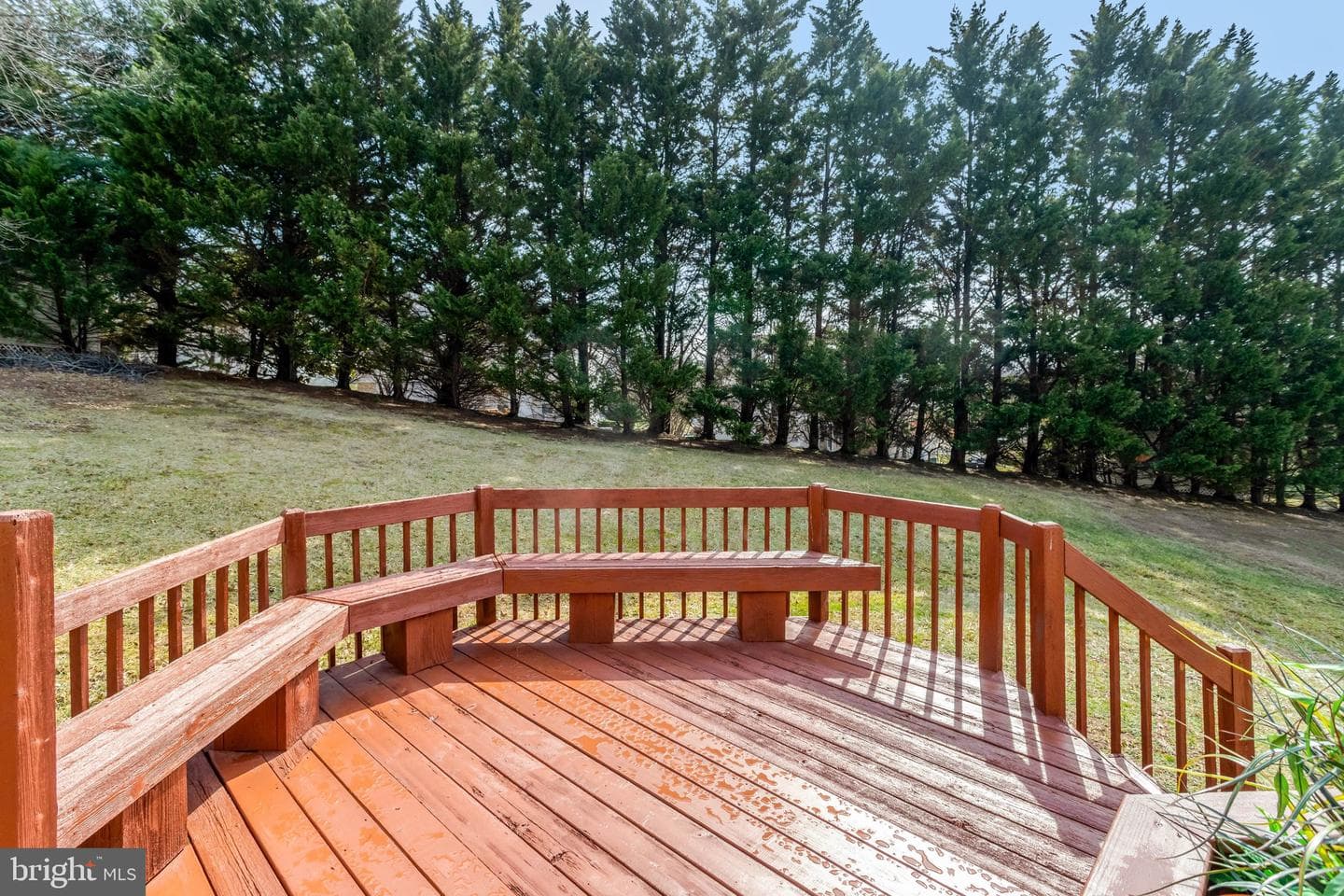 1407 Aragona Boulevard photo 86
