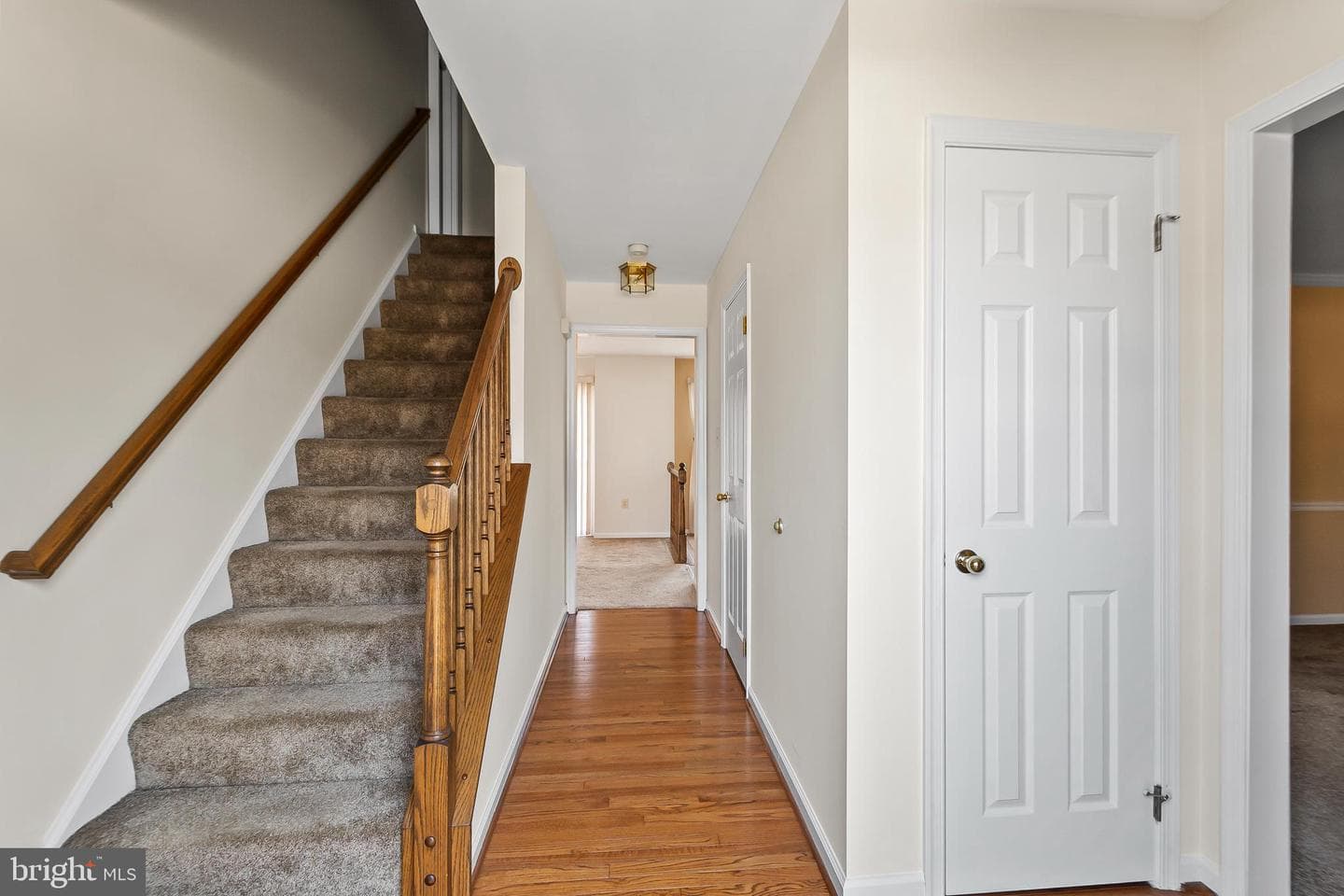 8719 Brazke Court photo 4