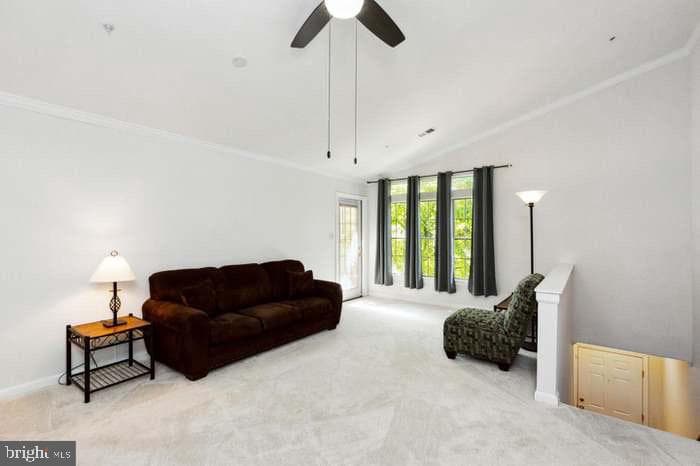 8706 Devon Hills Drive #d photo 11