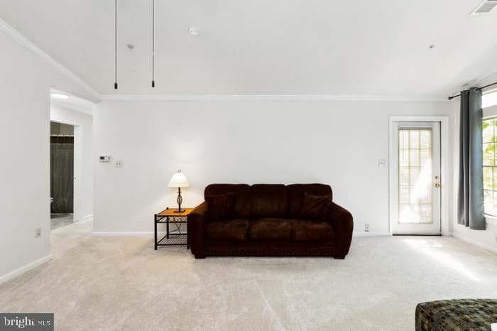 8706 Devon Hills Drive #d photo 7