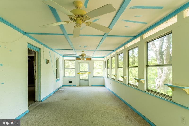 12111 Daisy Lane photo 10