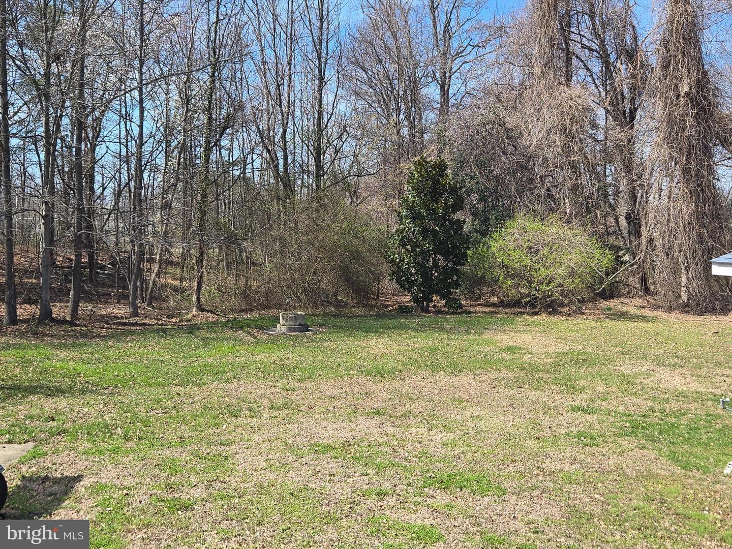 14125 Brandywine Heights Road photo 16