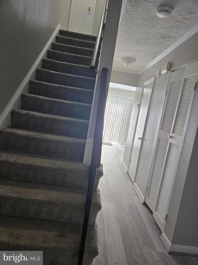 5825 Suitland Road photo 8