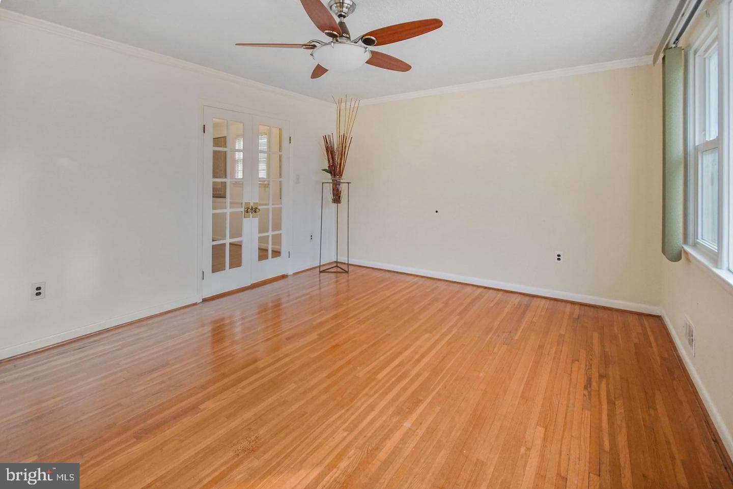 12826 Glynis Road photo 47