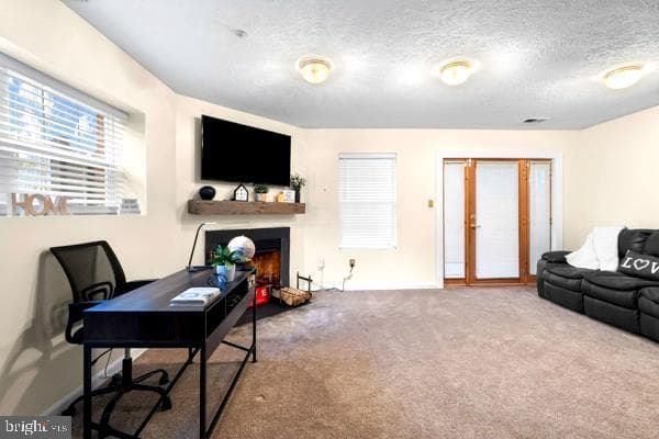 10913 Daniel Sim Court photo 25