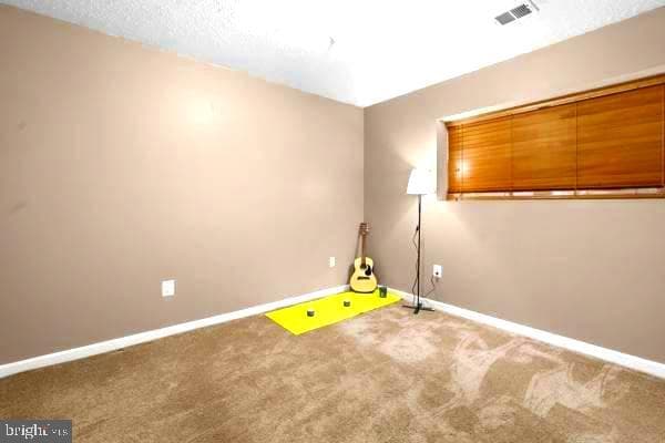 10913 Daniel Sim Court photo 27