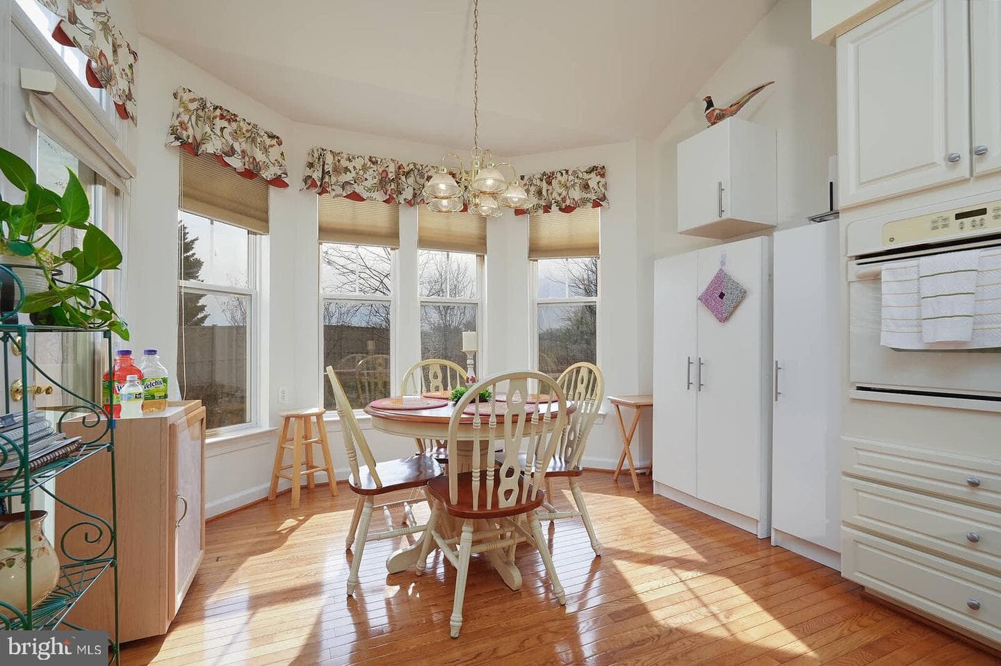 7407 Shadow Park Court photo 16