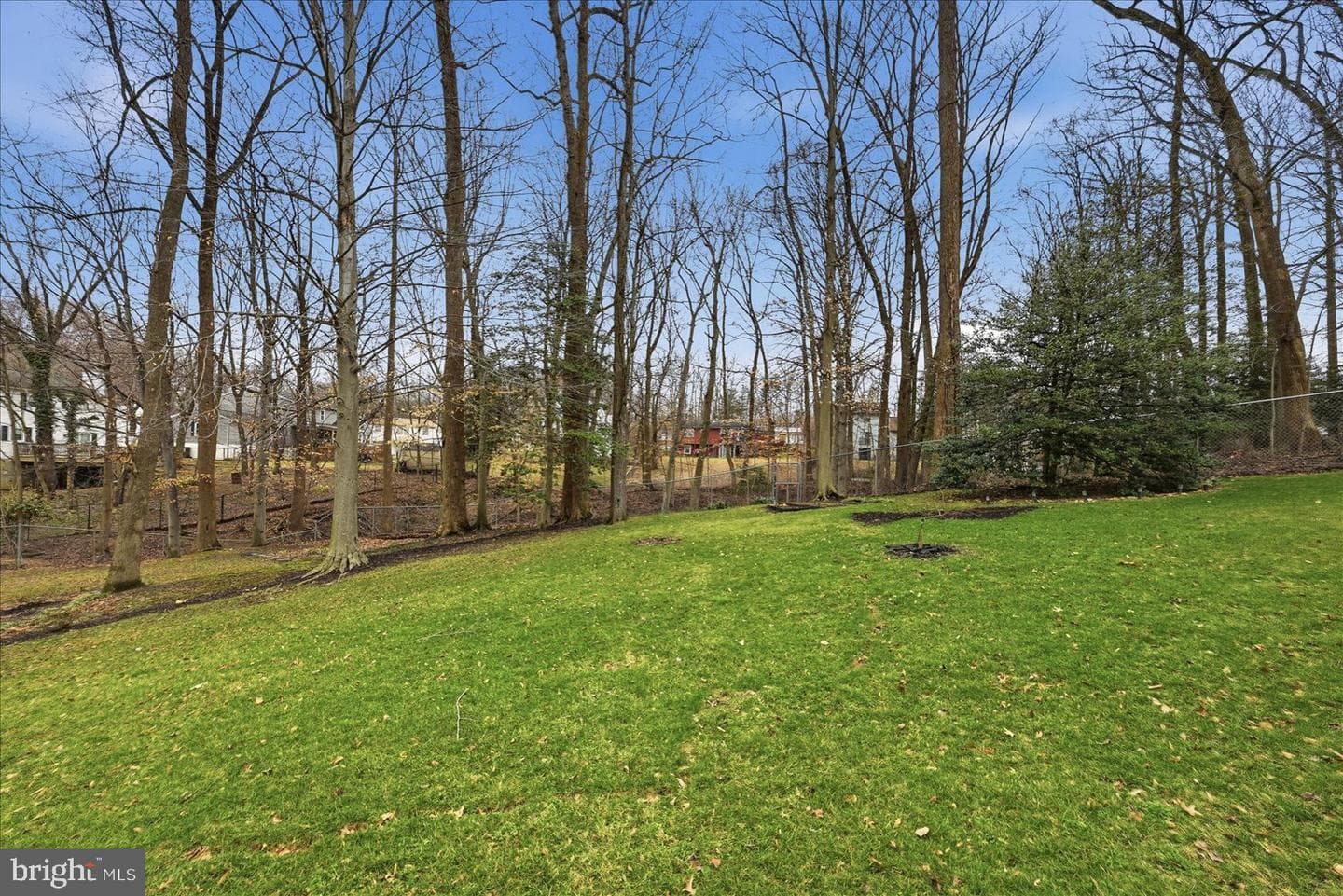 814 Buckmaster Lane photo 17