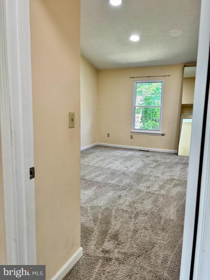 10528 Storch Drive photo 21