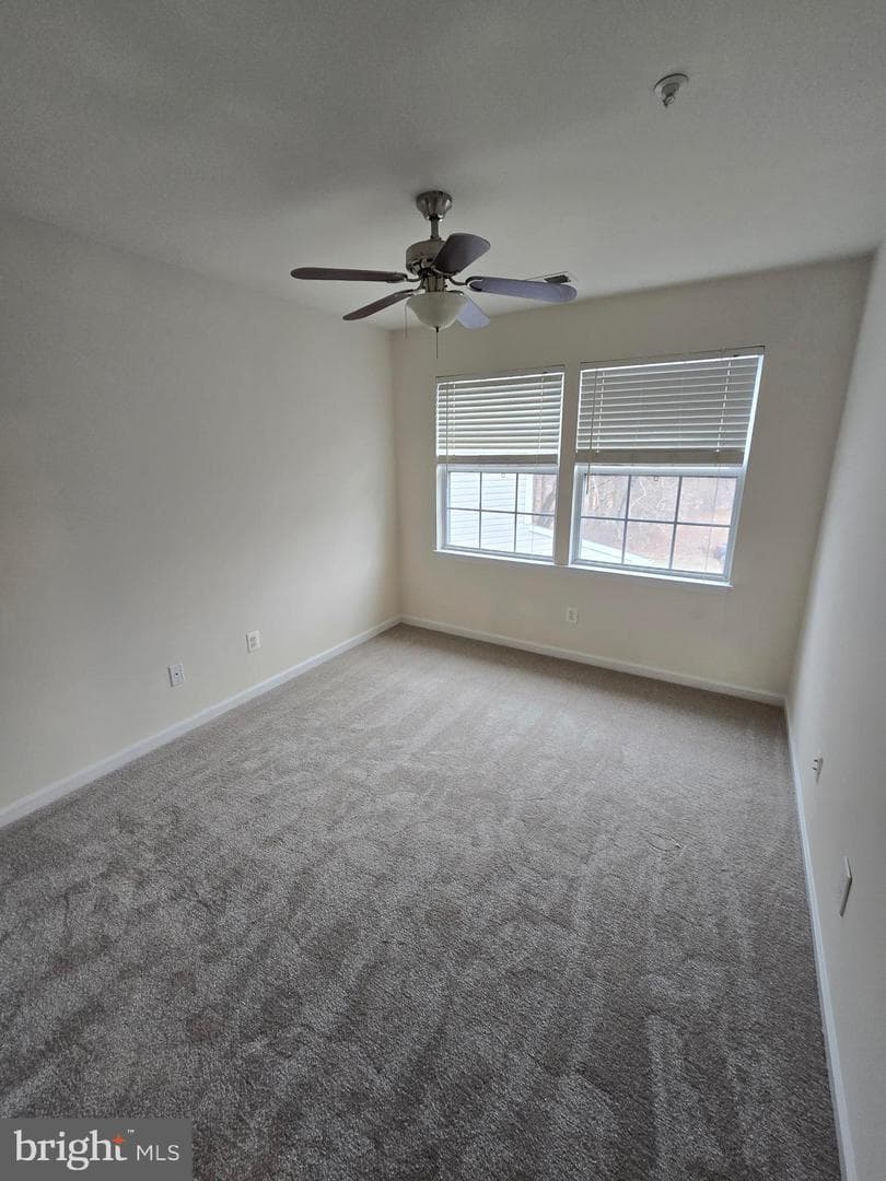 4316 Reverend Eversfield Court photo 35