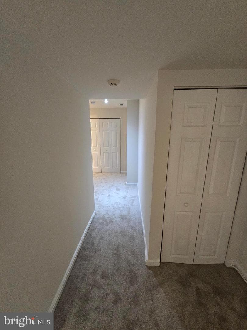4316 Reverend Eversfield Court photo 51