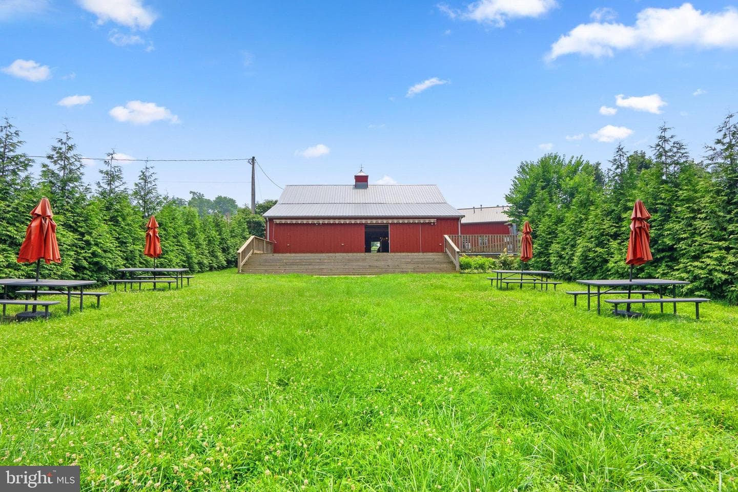 15701 Doctor Bowen Road photo 6