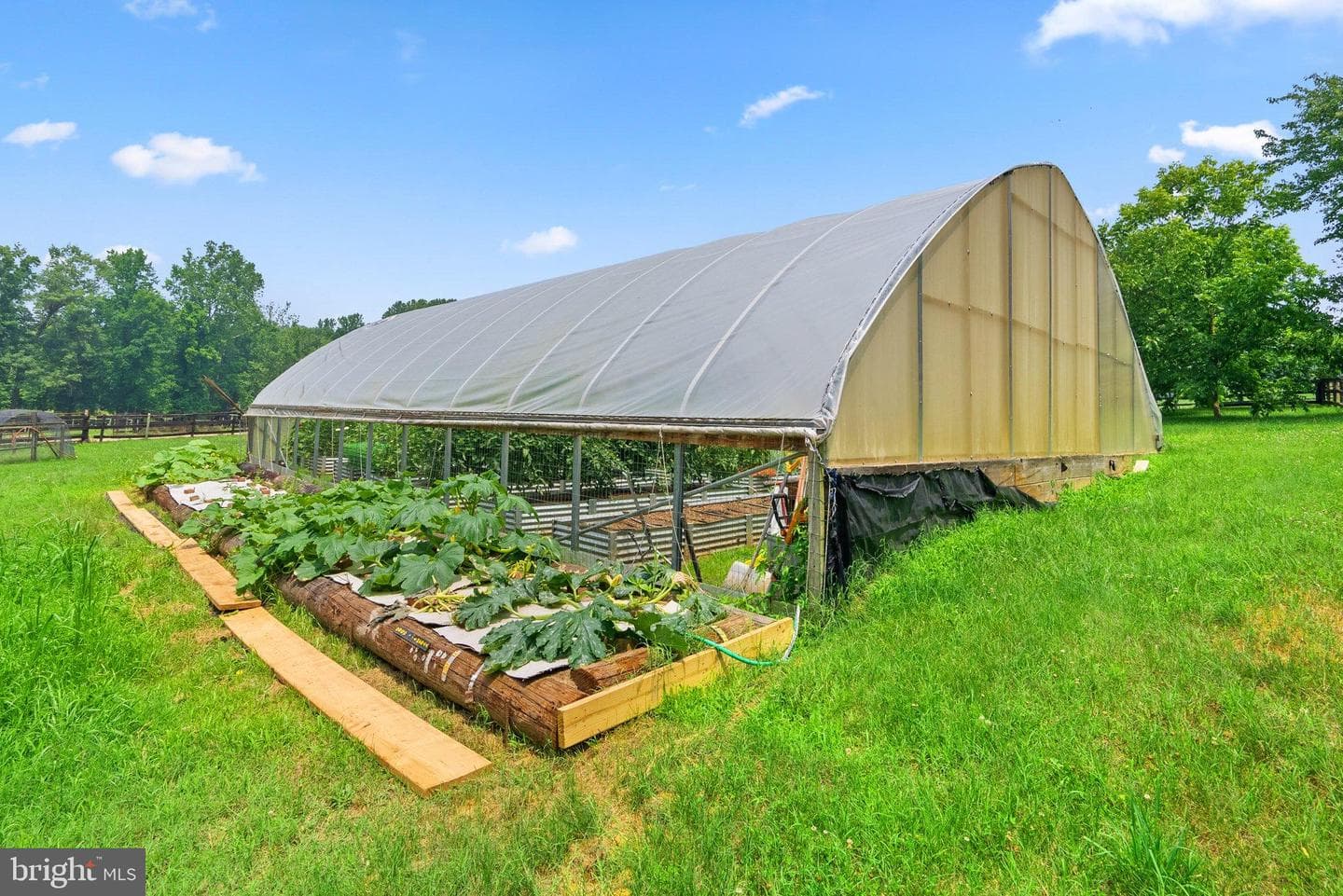 15701 Doctor Bowen Road photo 60