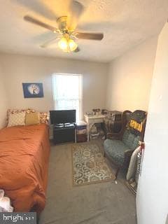 11664 Cosca Park Drive photo 9