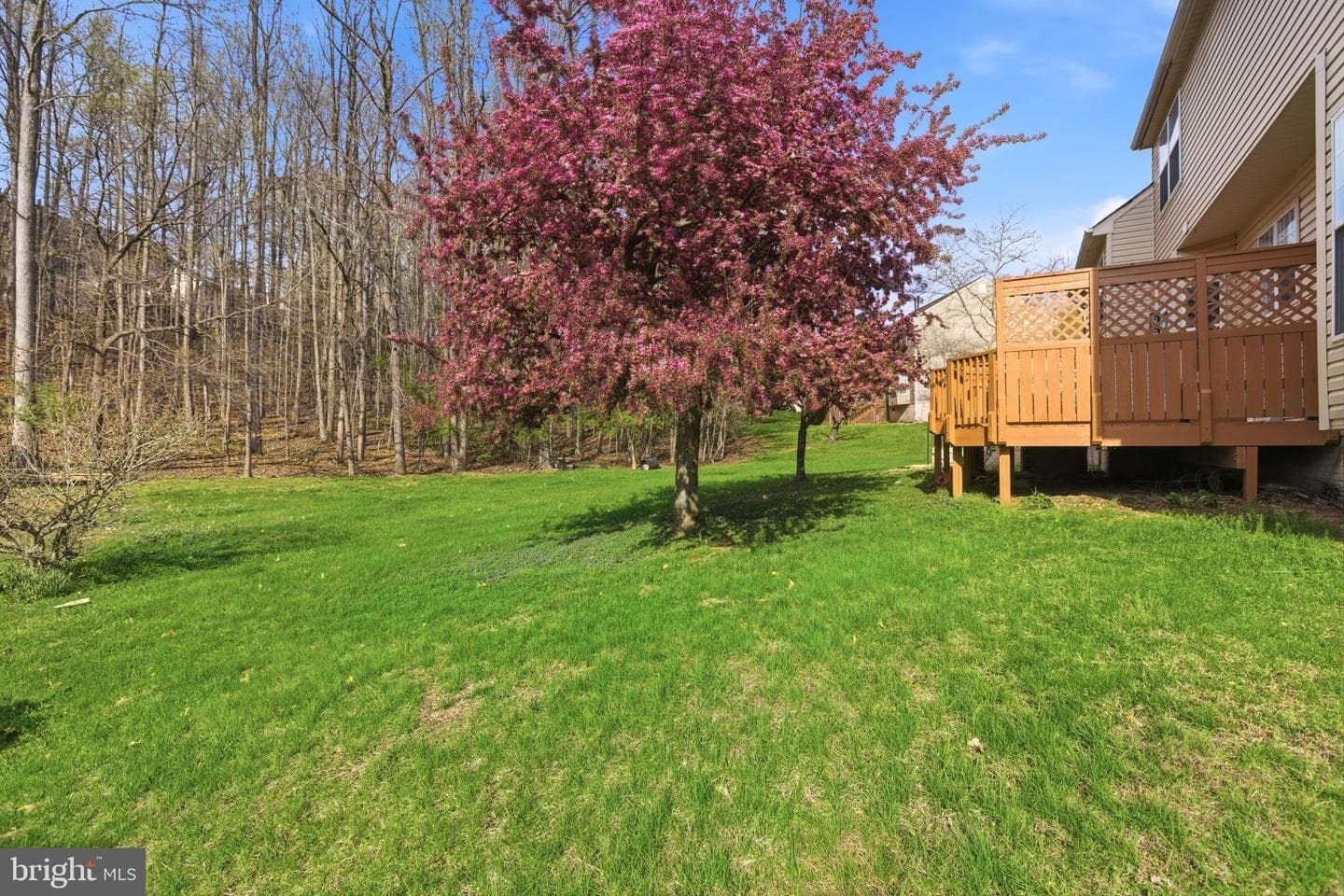 2002 Thistlewood Drive photo 2