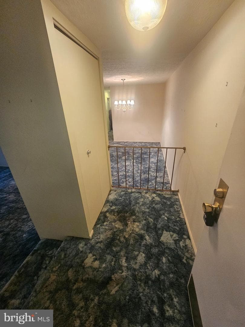 7724 Hanover Parkway #186 photo 8