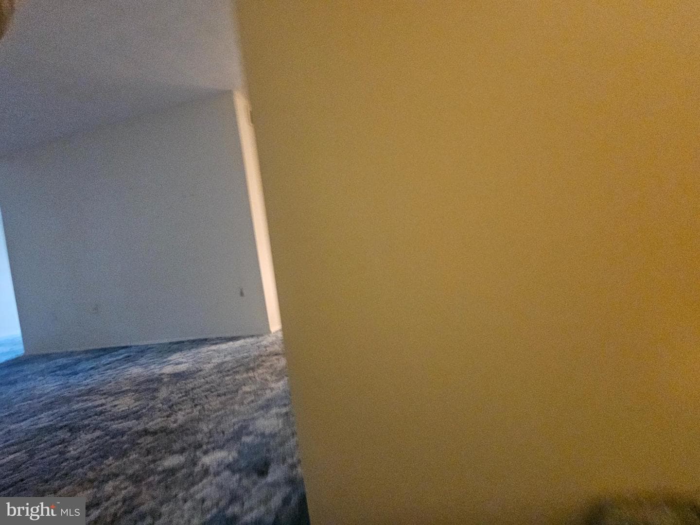 7724 Hanover Parkway #186 photo 9